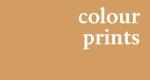 Colour Photo Button