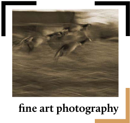 Fine Art Photography Button